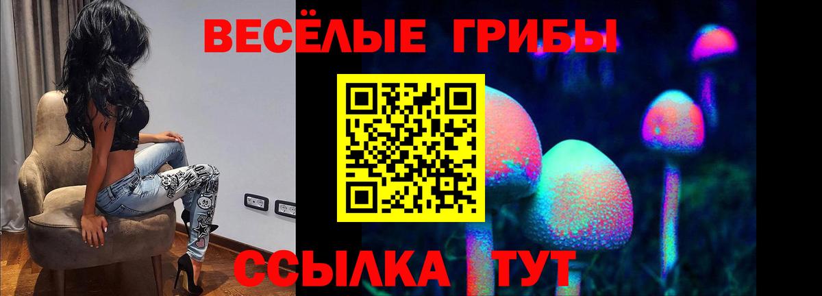 Псилоцибиновые грибы мицелий Батайск